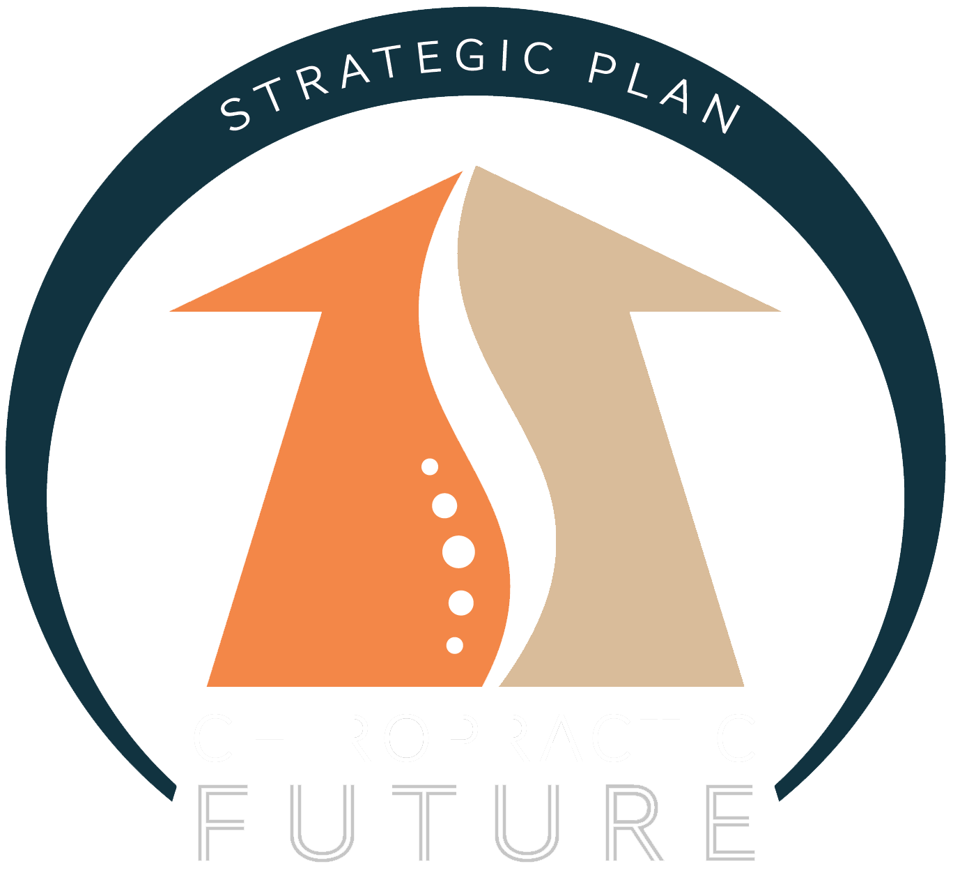 Chiropractic Future Strategic Plan